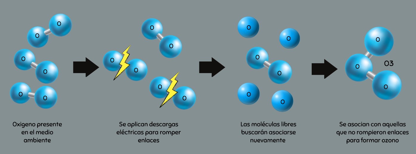 moleculas ozono