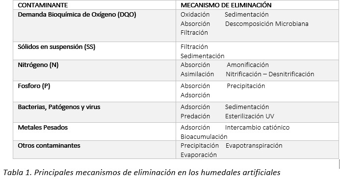 fitodepuracion tabla